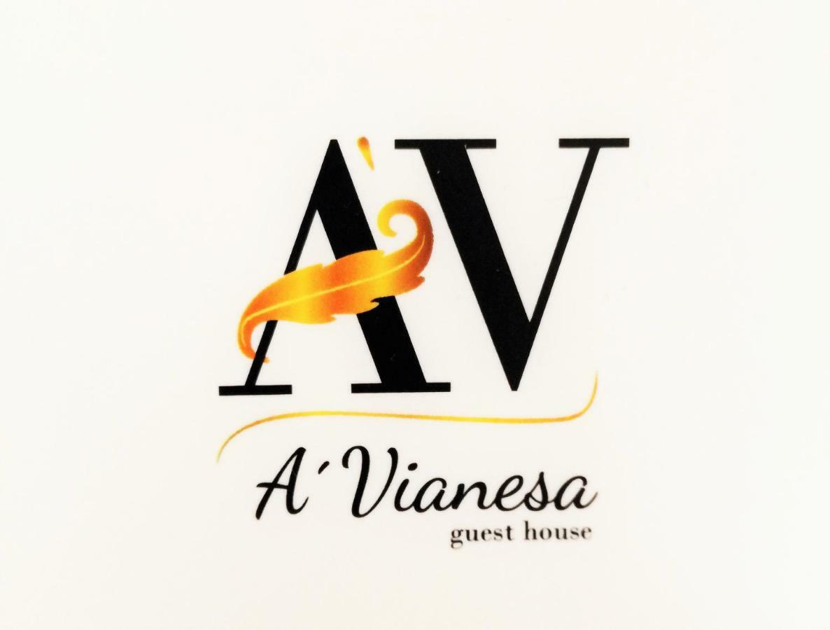 A Vianesa - Guest House Viana do Castelo Buitenkant foto
